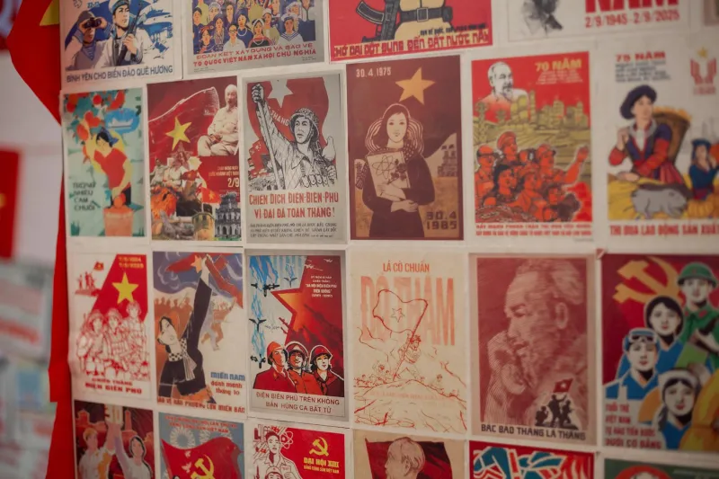 When Birdsong Became a Death Sentence: How China's War on Sparrows Unleashed Ecological Chaos